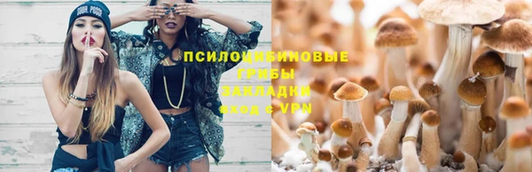 метадон Россошь