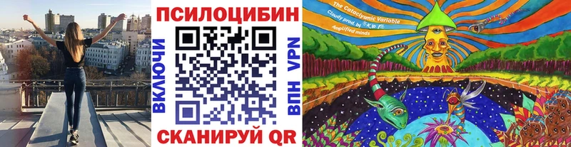Псилоцибиновые грибы GOLDEN TEACHER маркетплейс какой сайт Калязин